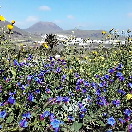 Casa Jasmin * Haría