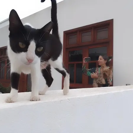 Casa Jasmin * Haría